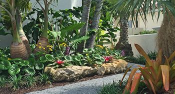 Landscape Design Siesta Key